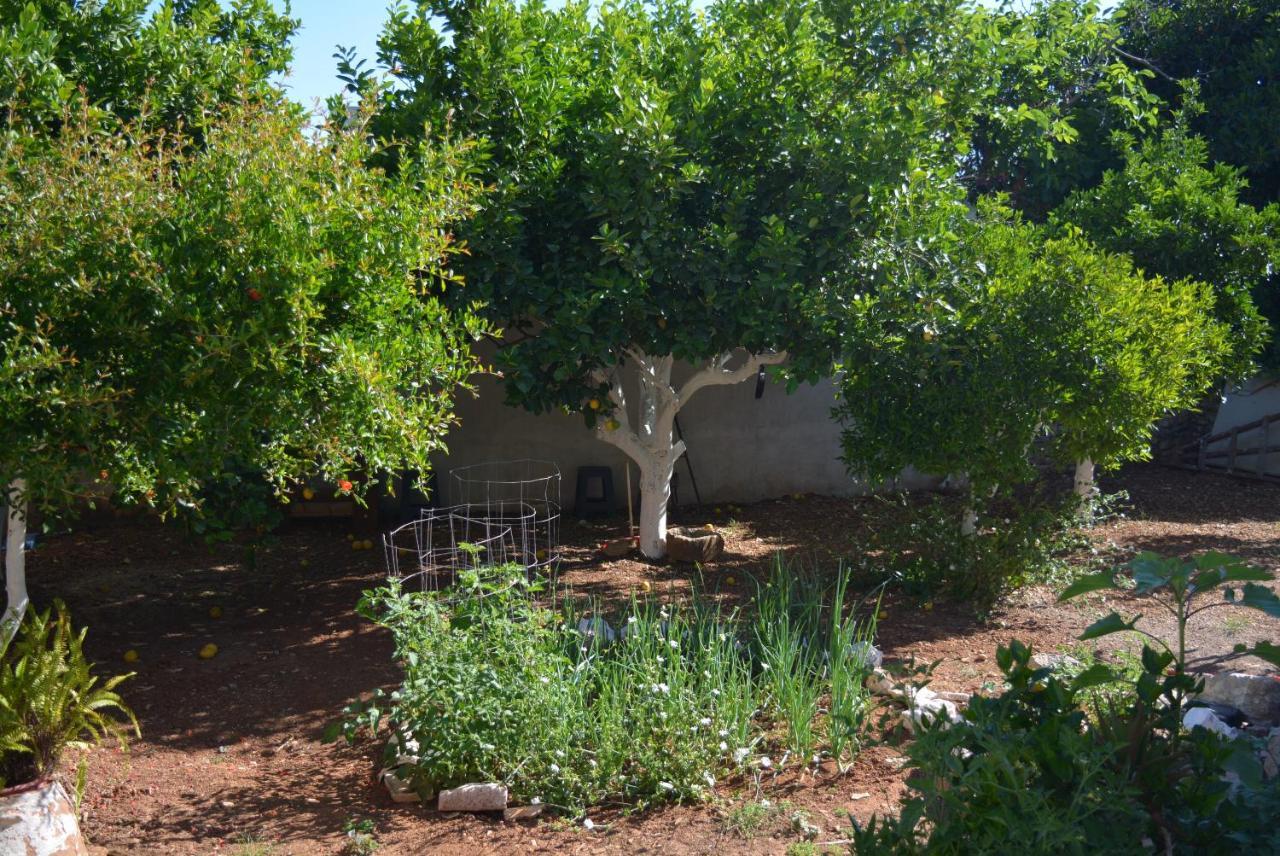 Sergios Village House La Canea Exterior foto