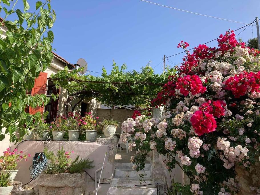 Sergios Village House La Canea Exterior foto